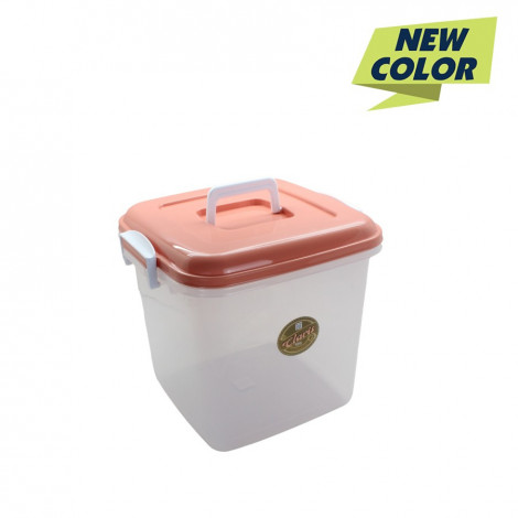 Claris Q-Bic Box + Hd 1057 Peach